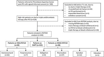 Rotational Thromboelastometry in High-Risk Patients on Dual Antithrombotic Therapy After Percutaneous Coronary Intervention